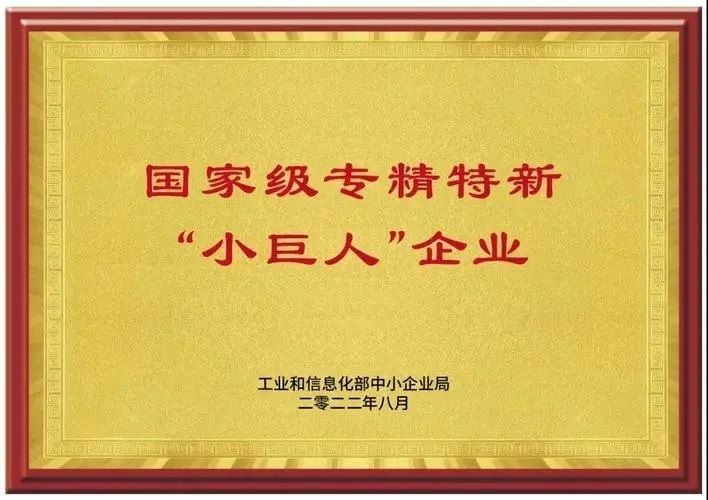 专精特新小巨人